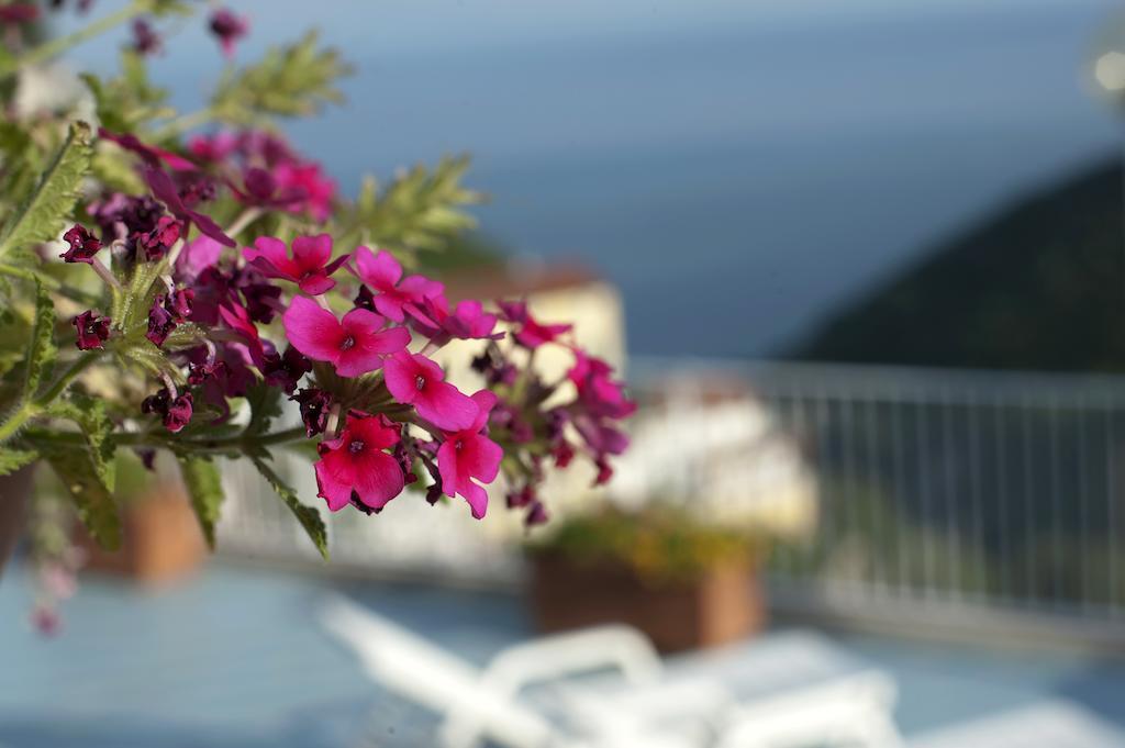 Bed and Breakfast Le Terrazze Di Cristina Vietri Zewnętrze zdjęcie