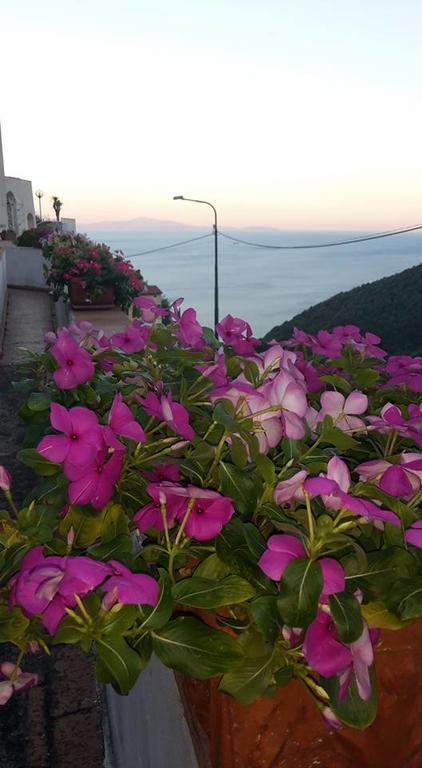 Bed and Breakfast Le Terrazze Di Cristina Vietri Zewnętrze zdjęcie