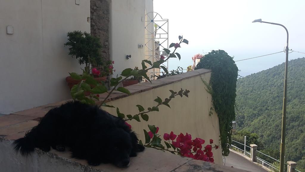 Bed and Breakfast Le Terrazze Di Cristina Vietri Zewnętrze zdjęcie