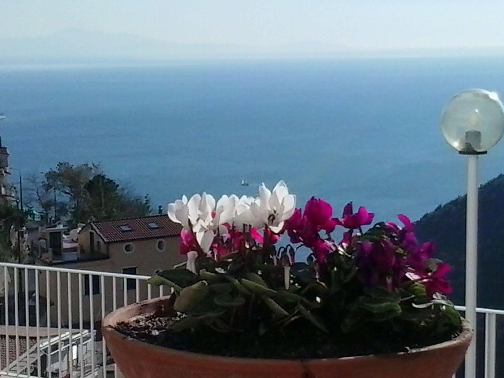 Bed and Breakfast Le Terrazze Di Cristina Vietri Zewnętrze zdjęcie