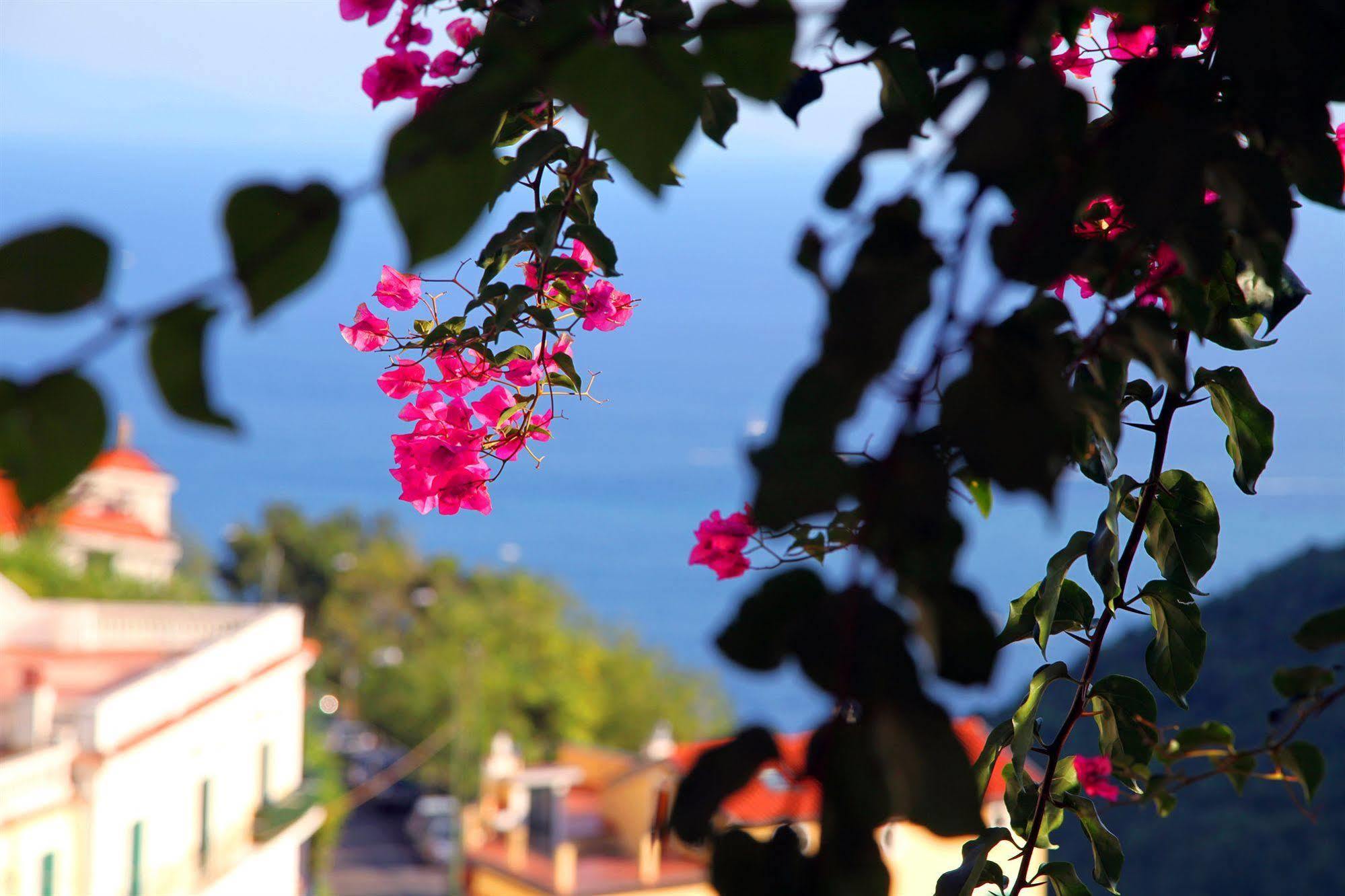 Bed and Breakfast Le Terrazze Di Cristina Vietri Zewnętrze zdjęcie