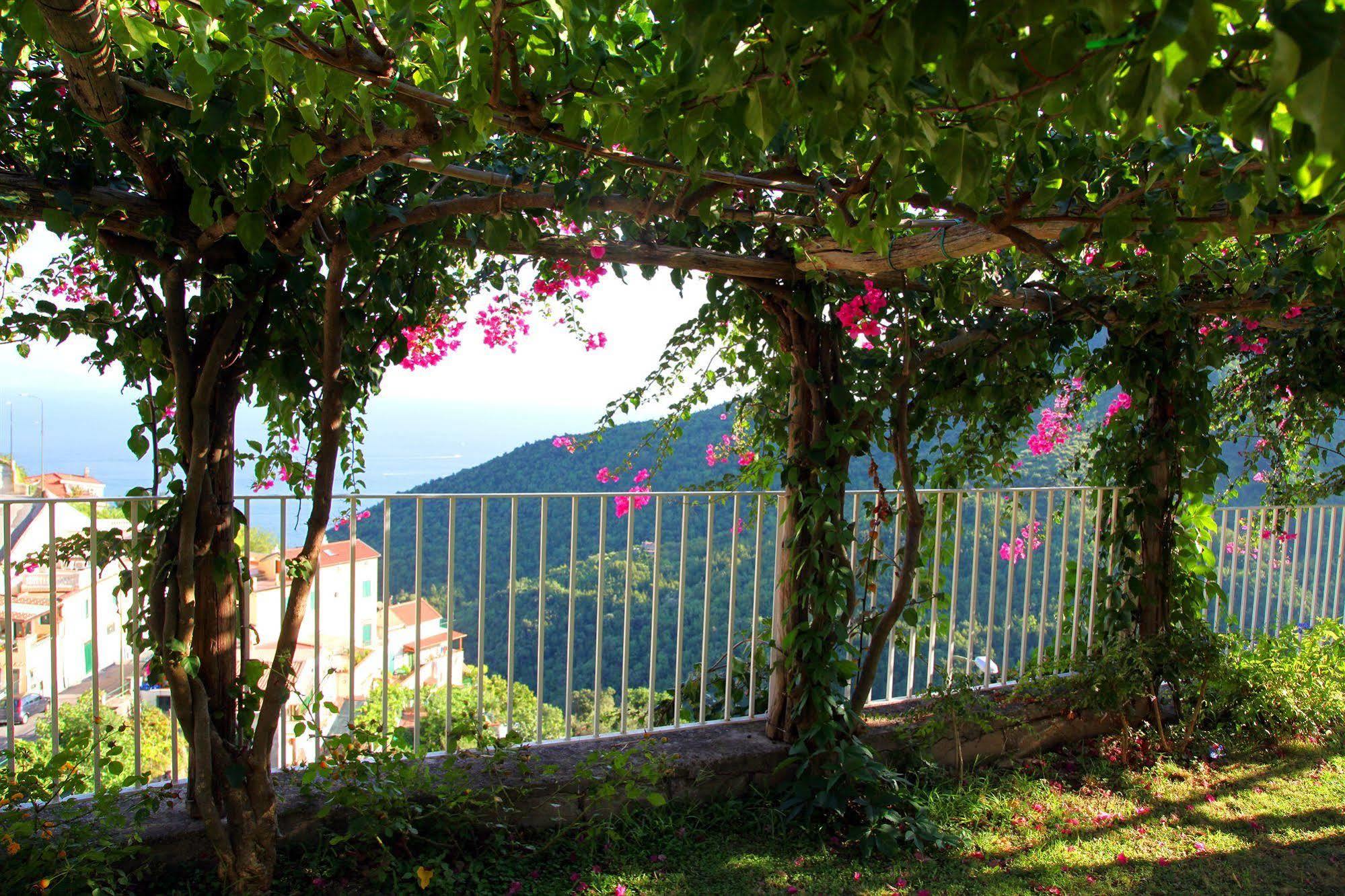 Bed and Breakfast Le Terrazze Di Cristina Vietri Zewnętrze zdjęcie